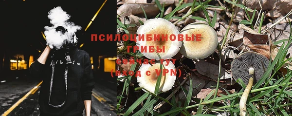 бошки Аркадак