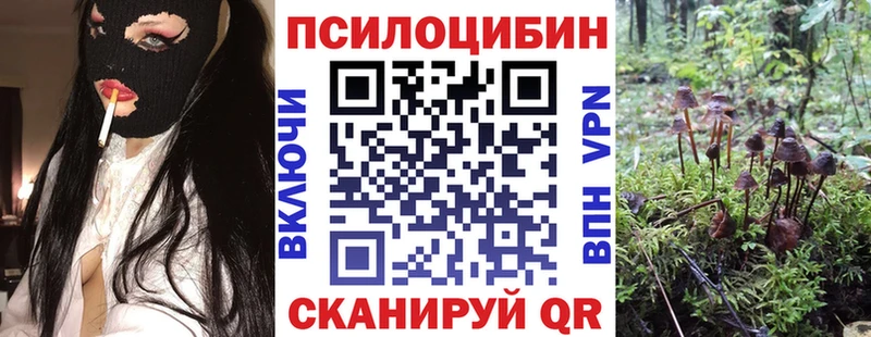 Купить  Спасск-Рязанский  Галлюциногенные грибы MAGIC MUSHROOMS 