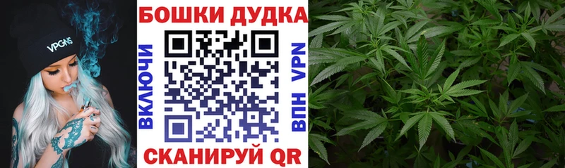 Купить где  Спасск-Рязанский  Каннабис план 